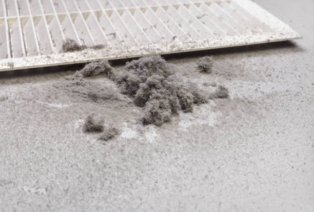 Best Duct Cleaning Specialists  in Carthage, TN