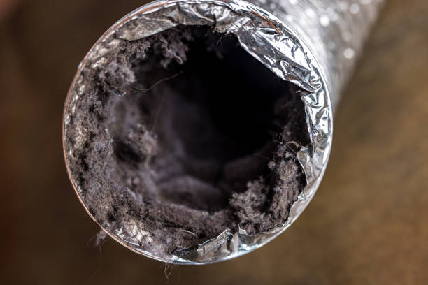 Best Local Air Duct Cleaning Services  in Carthage, TN