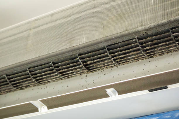 Best Affordable Duct Cleaning Services  in Carthage, TN